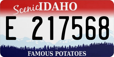 ID license plate E217568