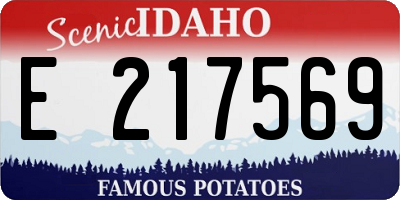 ID license plate E217569