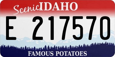 ID license plate E217570