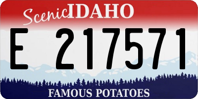 ID license plate E217571