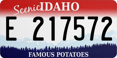 ID license plate E217572