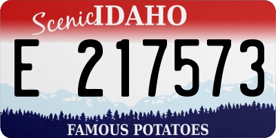 ID license plate E217573