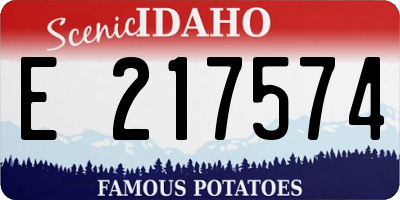 ID license plate E217574