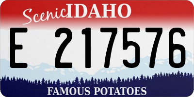 ID license plate E217576