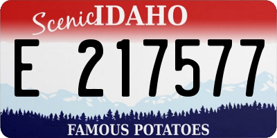 ID license plate E217577