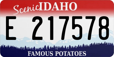 ID license plate E217578