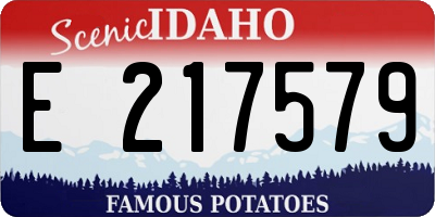 ID license plate E217579