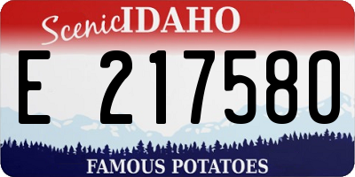 ID license plate E217580
