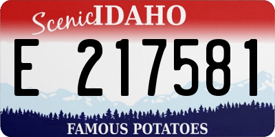 ID license plate E217581