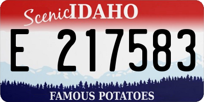 ID license plate E217583