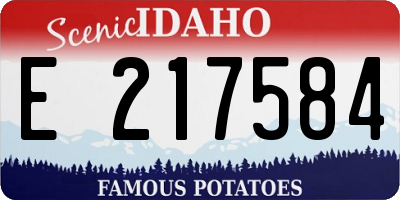 ID license plate E217584