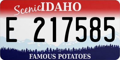 ID license plate E217585