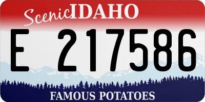 ID license plate E217586