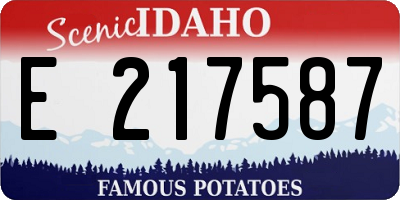 ID license plate E217587
