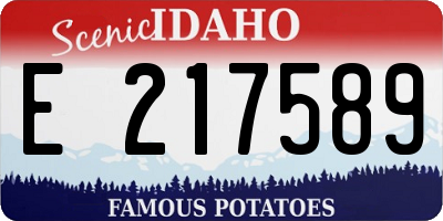 ID license plate E217589