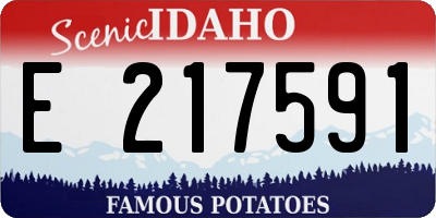 ID license plate E217591