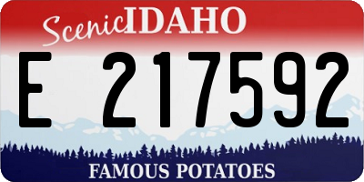 ID license plate E217592