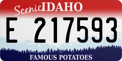 ID license plate E217593