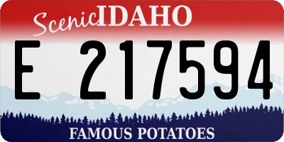 ID license plate E217594