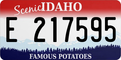 ID license plate E217595
