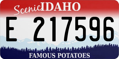 ID license plate E217596