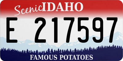 ID license plate E217597