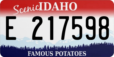 ID license plate E217598