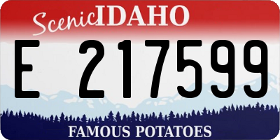 ID license plate E217599