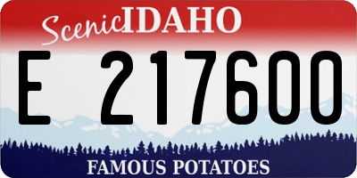 ID license plate E217600