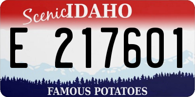 ID license plate E217601