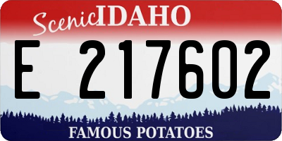 ID license plate E217602