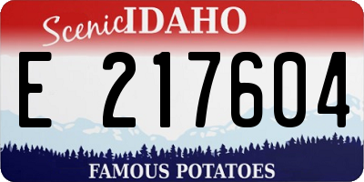 ID license plate E217604