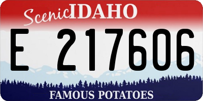 ID license plate E217606