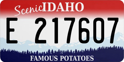 ID license plate E217607