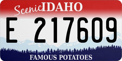 ID license plate E217609