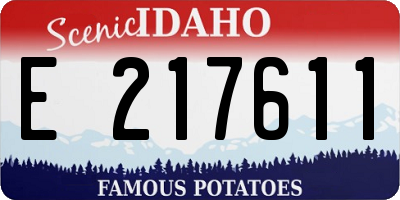 ID license plate E217611
