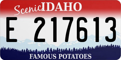 ID license plate E217613