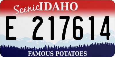 ID license plate E217614