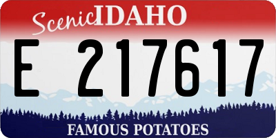 ID license plate E217617