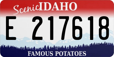 ID license plate E217618