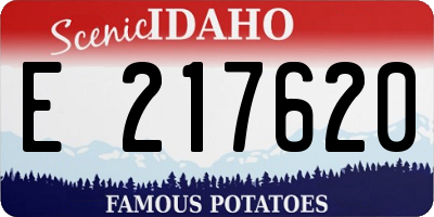 ID license plate E217620