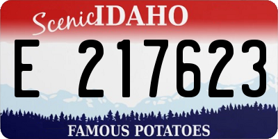 ID license plate E217623