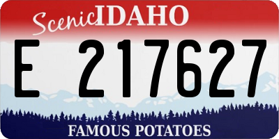 ID license plate E217627