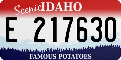 ID license plate E217630