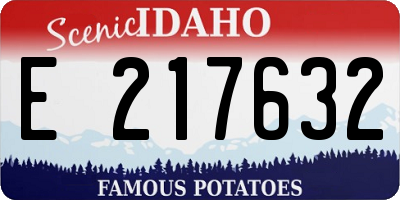 ID license plate E217632
