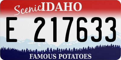 ID license plate E217633