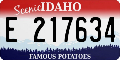 ID license plate E217634
