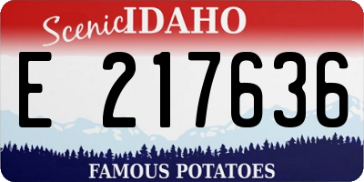 ID license plate E217636
