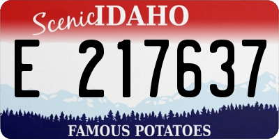 ID license plate E217637