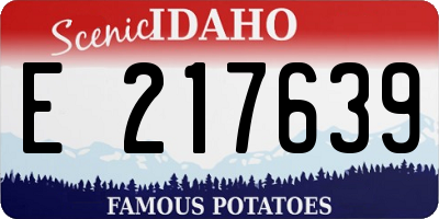 ID license plate E217639